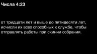 Числа, глава 4
