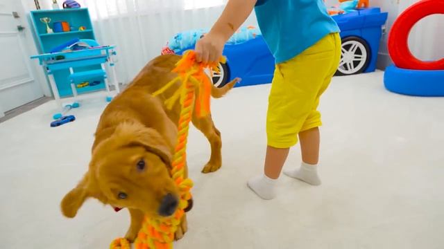 Крис хочет завести домашнее животное и играет с собакой роботом