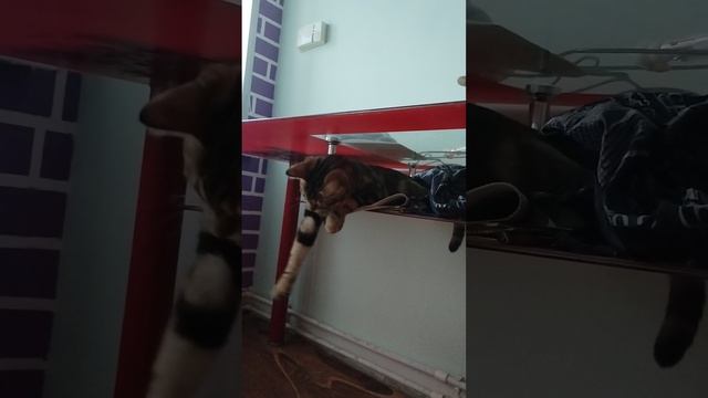 4 ч утра! вечный вопрос, что делать?