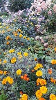 1000028634.mp4Лето.04.05.2025г.