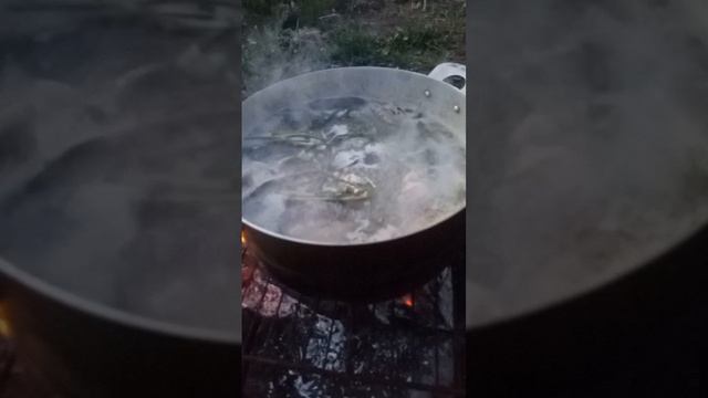 Уха на свежем воздухе 🐟
