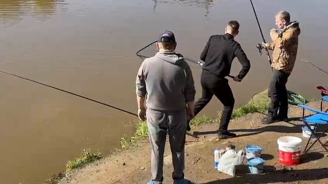 Поимка Карпа.Основной водоём