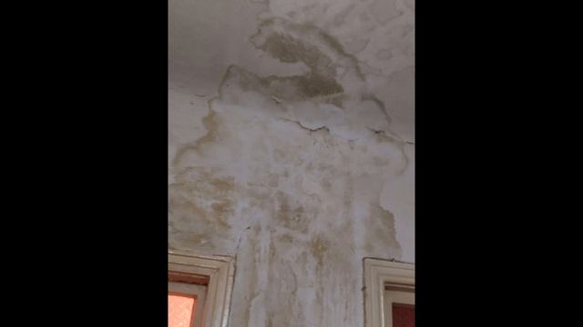 Поклейка обоев в кухне. Мкр Широкий. Донецк. ДНР. 2025.