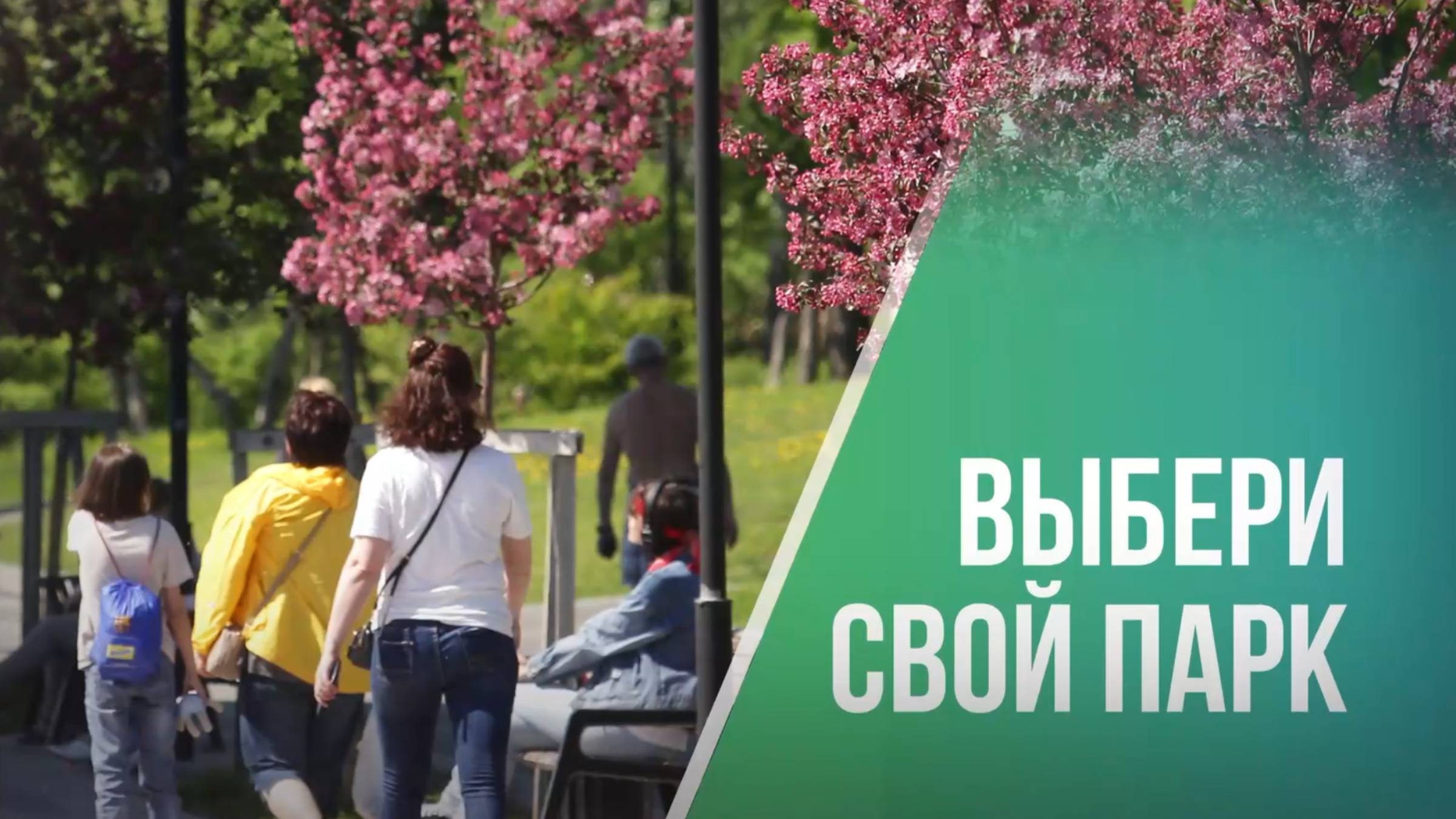 Три парка, два сквера и набережная участвуют в голосовании на благоустройство в Новосибирске