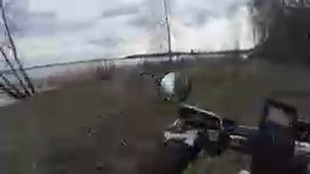 По лесу 37