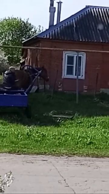 Село Исады🏠