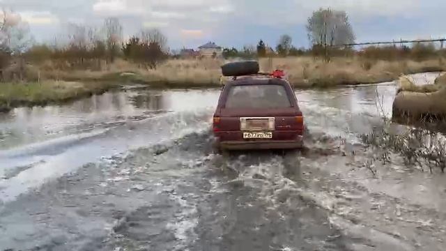 1000029286.mp4