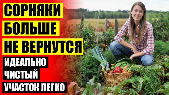 АГРО ПЛЮС ОТ СОРНЯКОВ ОТЗЫВЫ ЦЕНА