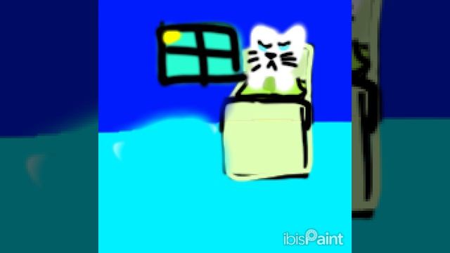 котик