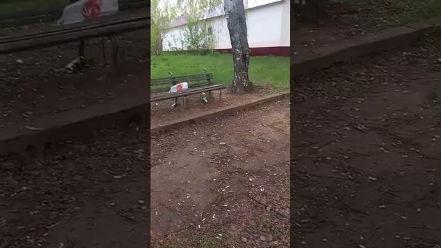 Сосновский парк победы...
🚭🚭🚭
🚯🚯🚯