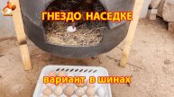 Гнездо для наседки домик из вывернутых шин