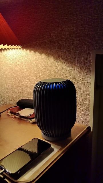 VID-20250504-WA0014.mp4