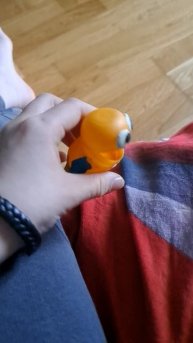 реппо