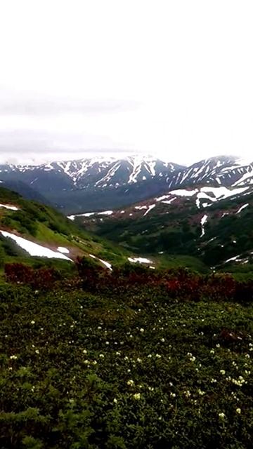 Камчатка. Лето.