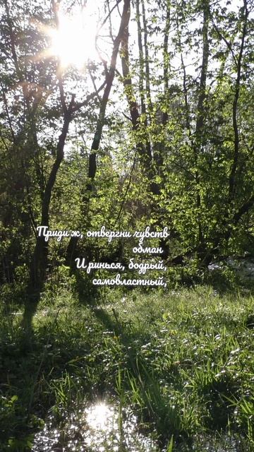 Поэзия 39