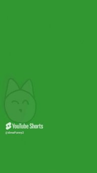 пушистик играет #animation #art #popular #shorts