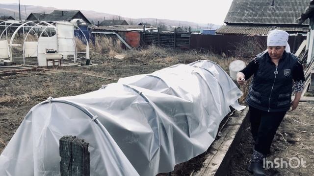 Эх,был бы внук рядом,помог бабушке с огородом справиться