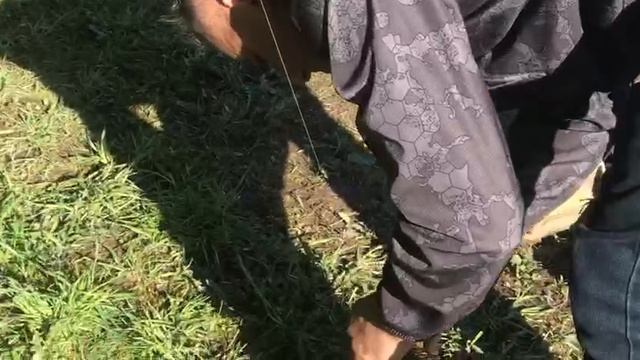 поимка щуки на большом водоёме