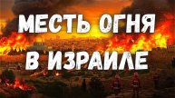 Израиль в Огне. Самый сильный пожар в истории Израиля жители бегут от огня...
