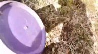 строю ДОМ В ЛЕСУ своими руками!часть 3
ЯМА ПОЧТИ СДЕЛАНА!