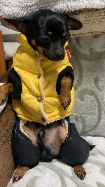 перегулял немного)