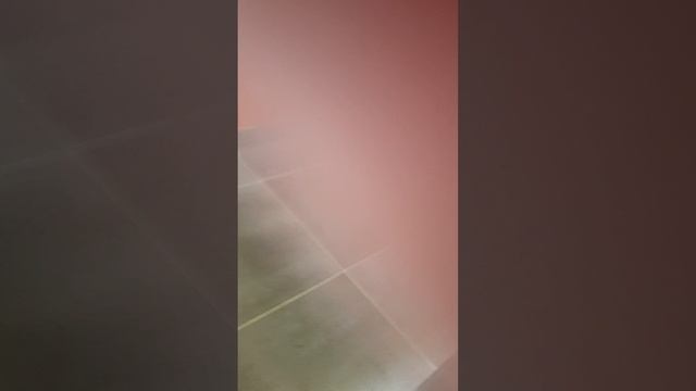 Вот что я делаю у себя во дворе