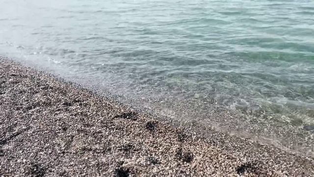 Сокровища_императора_2_сезон_5_выпуск_АНОНС