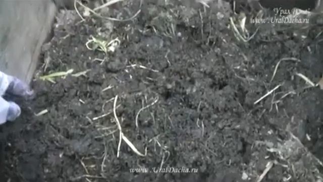 Как сделать самый быстрый компост