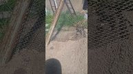 он торгует всем...не моет и не чистит