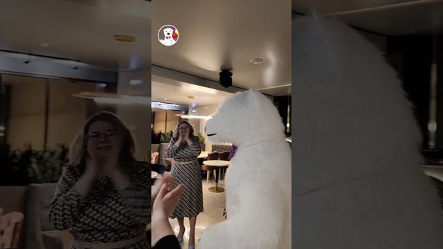 Веселый белый Мишка  УСИНСК!устроил сюрприз для прекрасной Ольги)