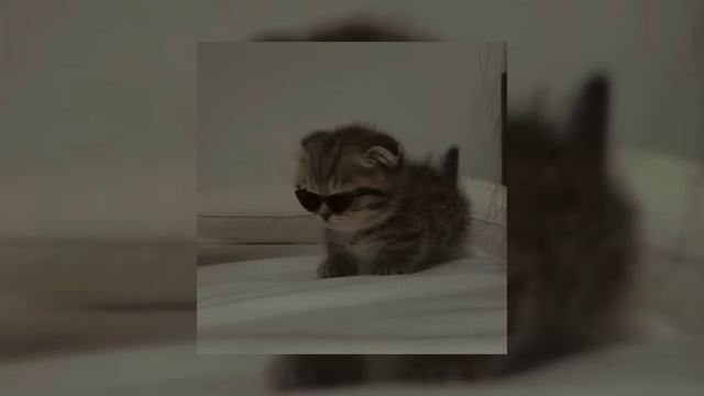 ＊плейлист популярных треков из TIK TOK＊   [ ЧАСТЬ 1 ]