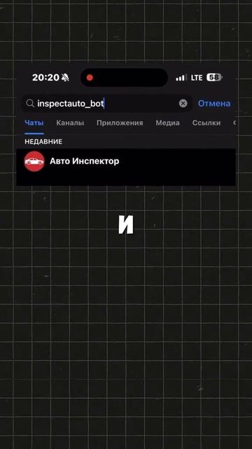 белая темка