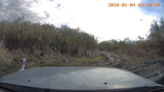 немного застрял , якорь помог 
NO20180104-032829-005817