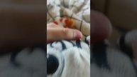 мини обзор моих игрушек 💞💞💞💞