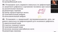 Головной мозг и вегетативная НС
