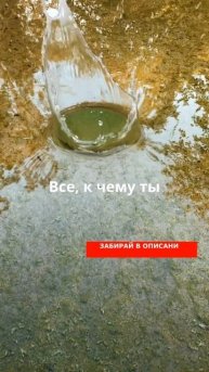 Запомни фразу!
