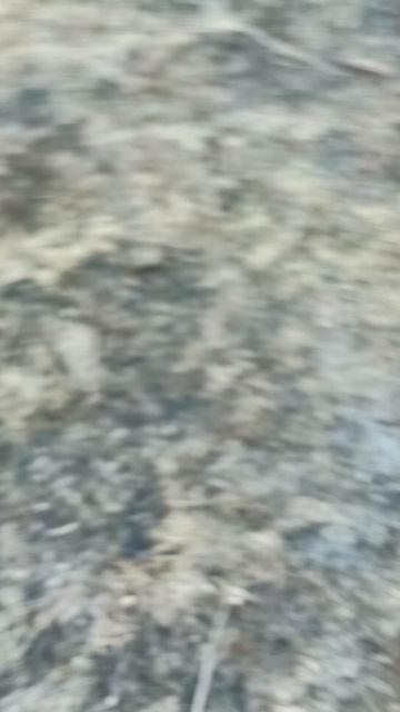 1000037662.mp4