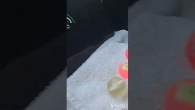 А мы в Эмираты едем!🇦🇪(поезд)