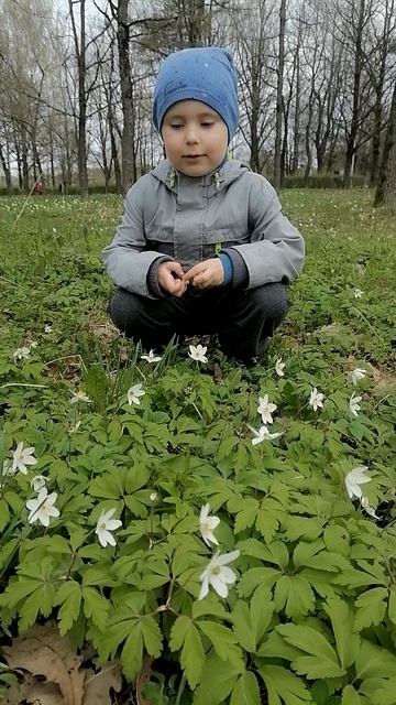 Апрель! Подснежник!.mp4