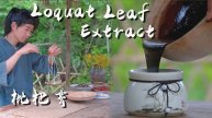 Loquat Leaf Extract:Made from Seven Traditional Chinese Medicines