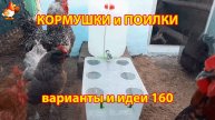 Кормушки и поилки для кур своими руками (160) 🪚✂️ Пошаговая инструкция как сделать 🐔 🐓❣️