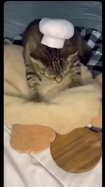 Новая булочная на районе❤️