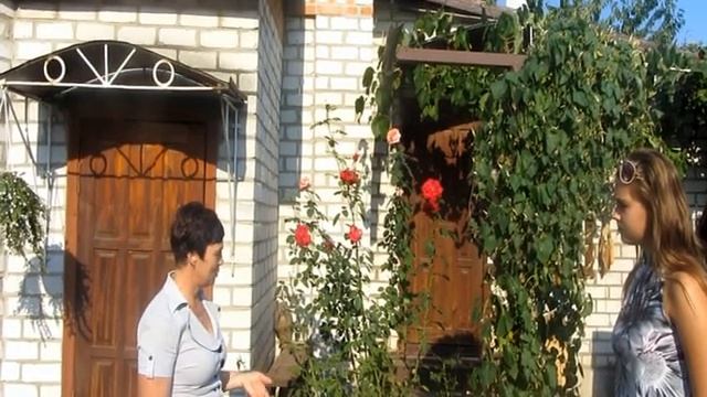 робота на всеукраїнський фестиваль день землі
