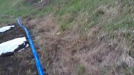 Продолжаю делать бугры с капельным поливом под клубнику