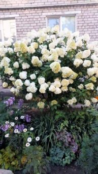 1000028152.mp4Лето.04.05.2025г.