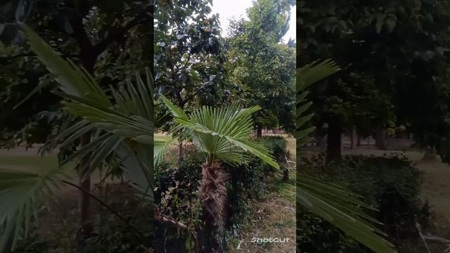 ПРЕКРАСНОЕ РЯДОМ. ОТДЫХ НА МОРЕ