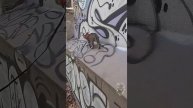 Прогулка