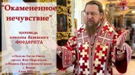 "Окамененное нечувствие". Епископ Венёвский Феодорит.