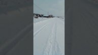 бегут из германии