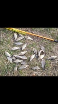 Вечерний клев на поплавок 🎣 Насадка тесто.